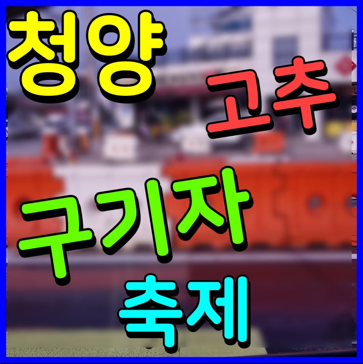  청양 고추 구기자 축제 행복콘서트 출연 가수 행사 일정 소식