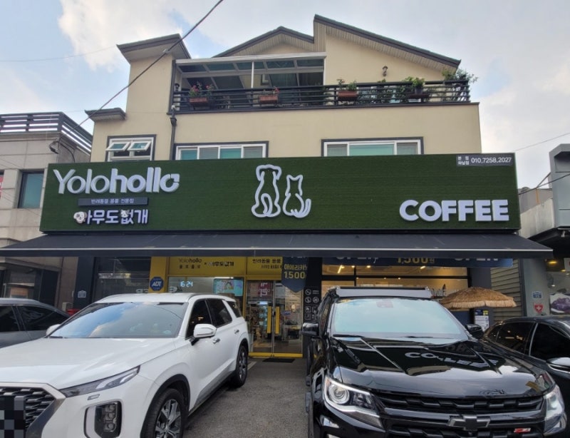 욜로홀로