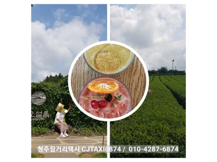  [청주시외장거리택시]처갓집 식구들과 함께한  제주 가족 여름휴가 넷째날