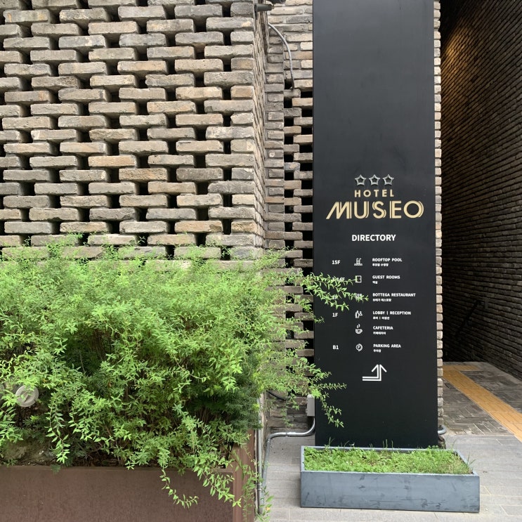 [청주][호텔][맛집] 호텔 뮤제오(MUSEO), 연탄고기 맛집 연탄부락