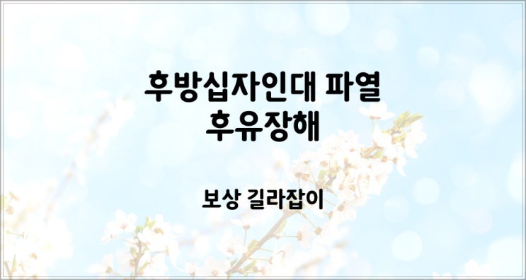  후방십자인대(PCL) 파열 후유장해 청구해 보세요~!