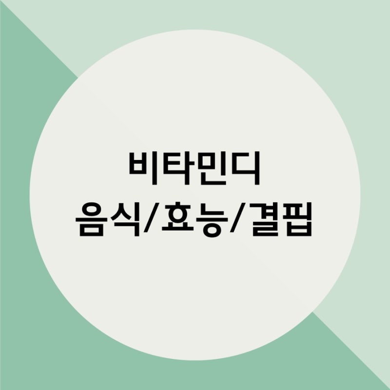 비타민디 음식 종류 효능 총정리