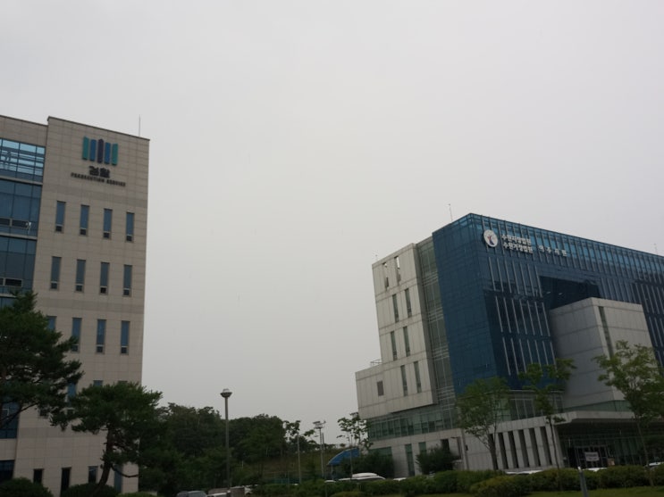  국제이혼시 자녀양육권, 아이를 보여주지 않는 경우 아동반환청구, 외국으로 데려간 자녀를 돌려받는 방법,이혼변호사
