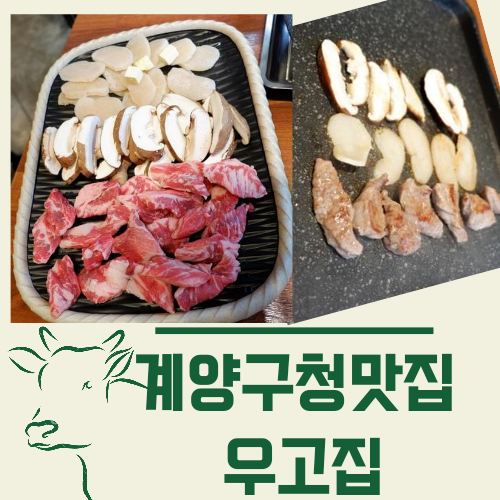  계양구청맛집 우고집