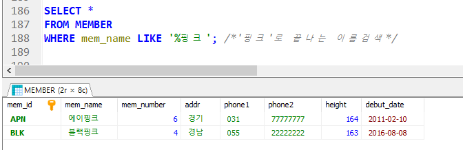  SQL 문법정리(4) LIKE