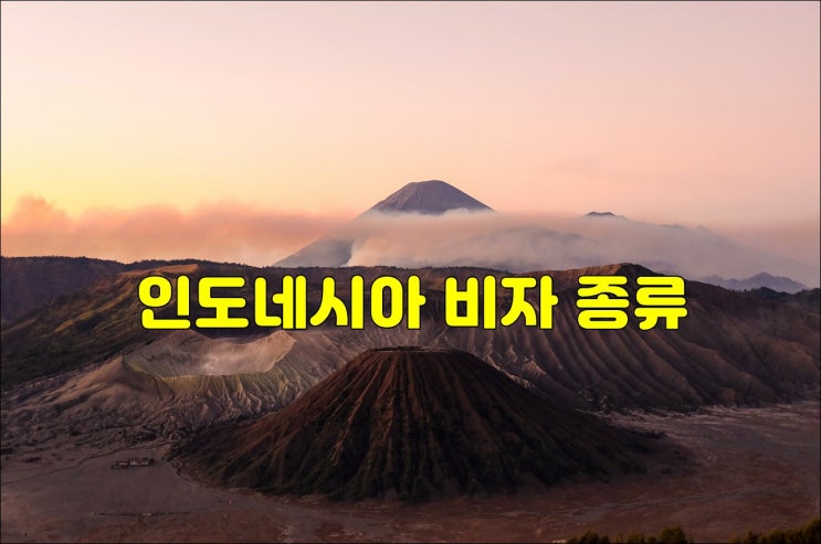  인도네시아 비자 종류와 발급 대행