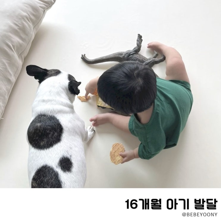  16개월 아기 발달 키 언어 놀이 팁 총정리