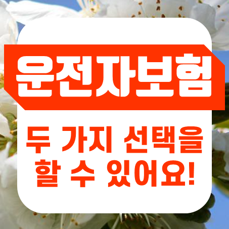  부부운전자보험 두 가지 선택지 및 장점과 단점 안내