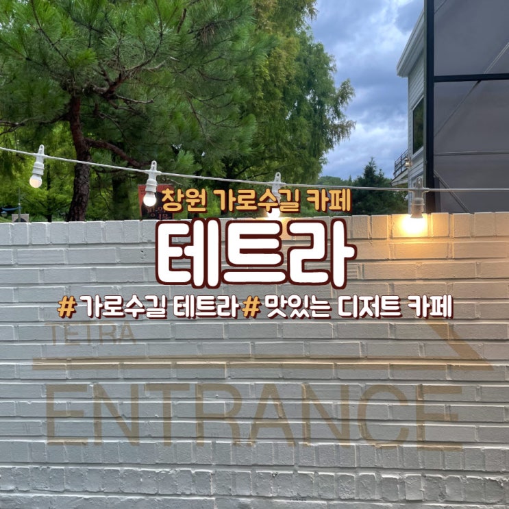  창원 가로수길 카페, 거울 뷰 맛집인 <테트라>