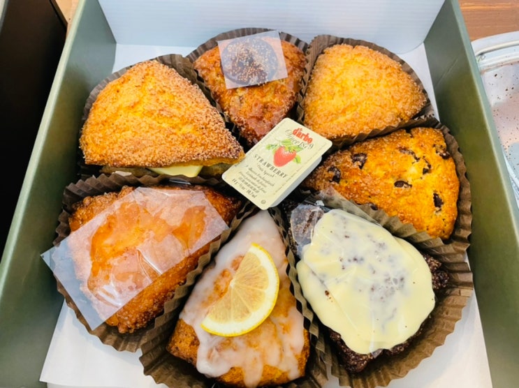 의정부 맛집 의정부 베이커리 스콘 맛집ㅣ은비스 브레드ㅣ