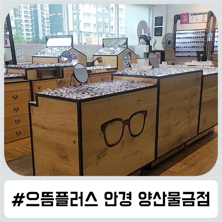 양산 안경 맛집 으뜸플러스안경 양산물금점~ 가성비 최고!
