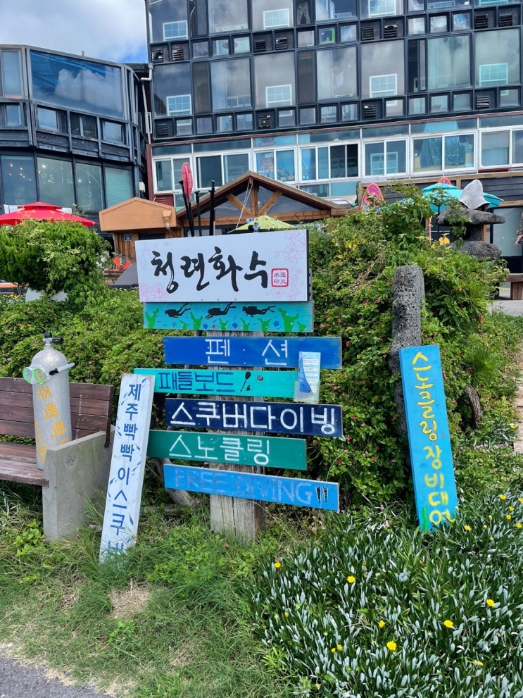  제주도 스킨스쿠버는 월령포구 제주빡빡이 스쿠버에서 즐겨요!!
