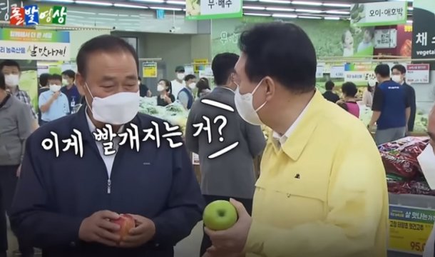 아오리 사과보고 이게 빨게지나 윤석열 사법고시 9수 이유중 하나 아오리 사과보고 이게 빨게지나 윤석열 사법고시 9수 이유중 하나