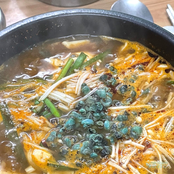  영월 다슬기 맛집 동강다슬기 다녀옴 대만족