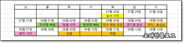  뎅기열 회복 기간, 낫는데 얼마나 걸리나요?
