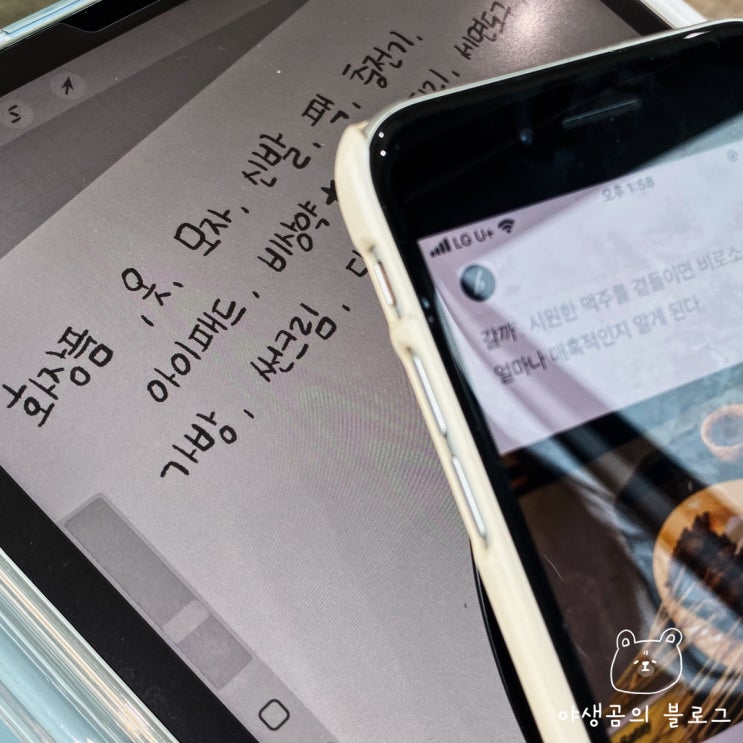  8월 싱가포르 여행계획! 환전과 유심, 먹거리 그리고 물가 알아보기