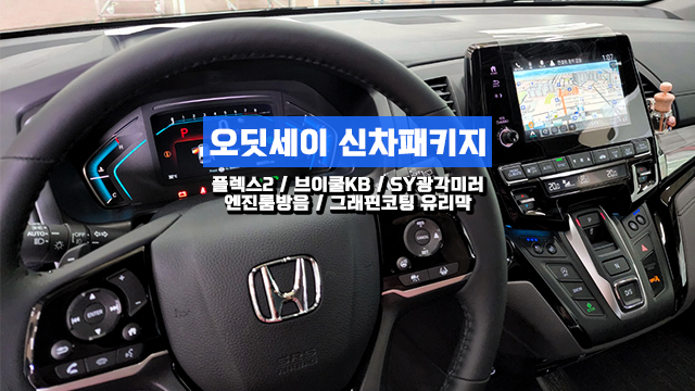  인천 오딧세이 썬팅 윈도 틴팅 완벽한 퀄리티로!