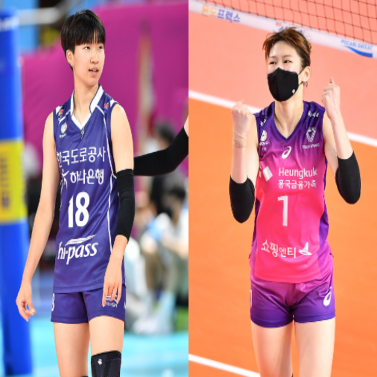 도로공사 흥국생명 여자배구 도드람컵 준결승 경기예상(김세인 이예림 배유나 안예림 김연경 김다인 박혜진 김나희)