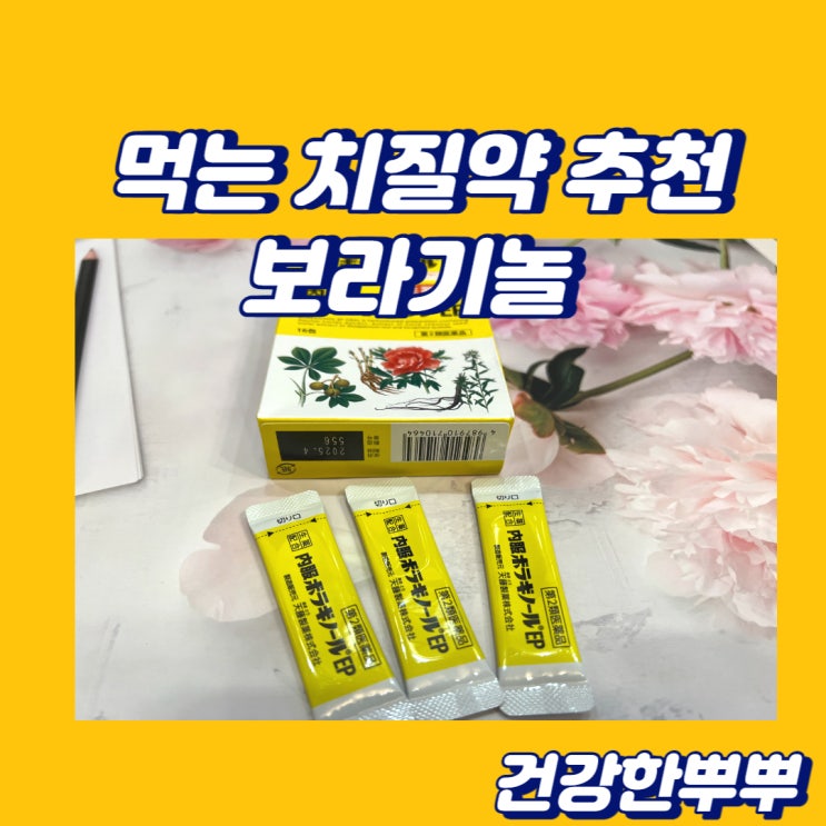  먹는치질약 보라기놀 치질약추천 일본치질약