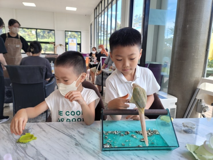  (공감글)좀 기다려줘, 혼자서도 잘 할수 있어