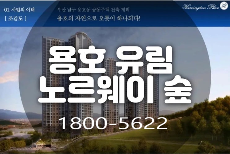  용호동 유림노르웨이숲 아파트 홍보관 공급소식 부산남구