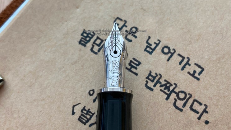  별 (ft. 펠리칸 M405 슈트레제만 EF닙 만년필 실제 사용 영상)