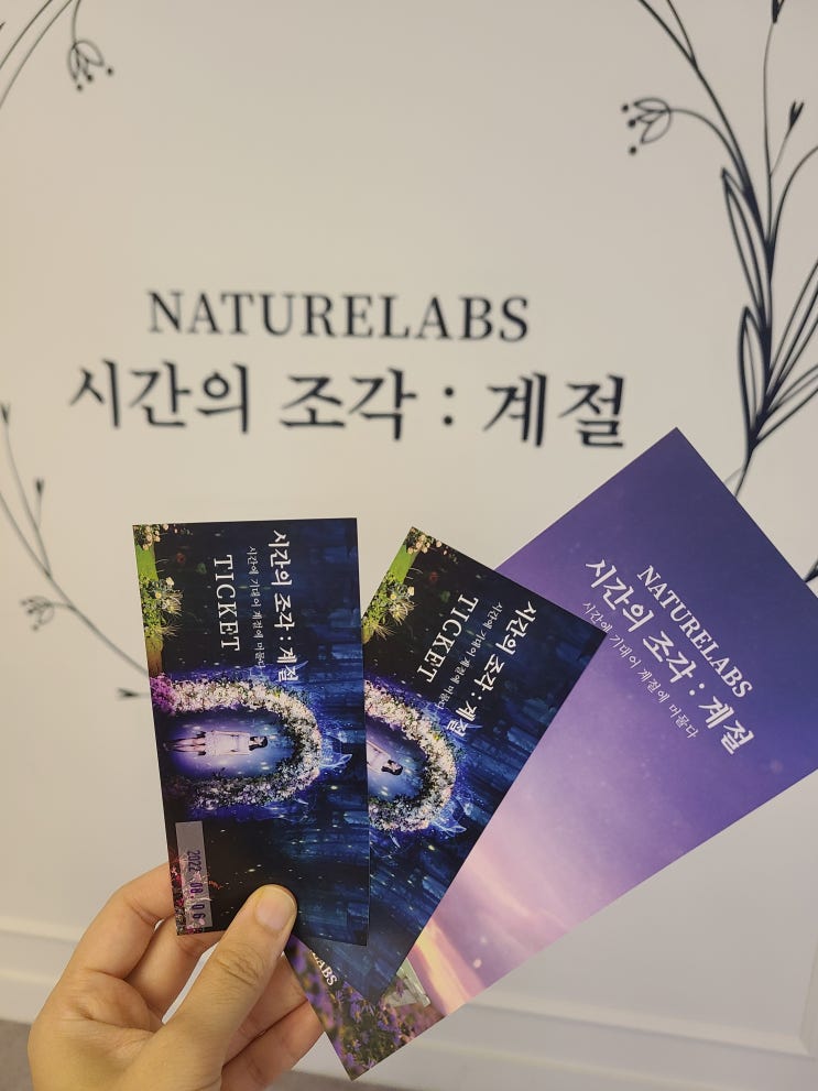  [서울 전시회] 시간의 조각: 계절 _홍대 네이처 랩스 미디어아트 전시 "빛과 꽃들의 향연" /사진 찍는 꿀팁 공유