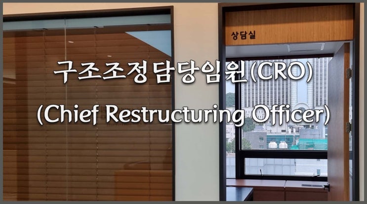 [법인회생 서울]<b>구조조정담당임원</b>(CRO)의 업무