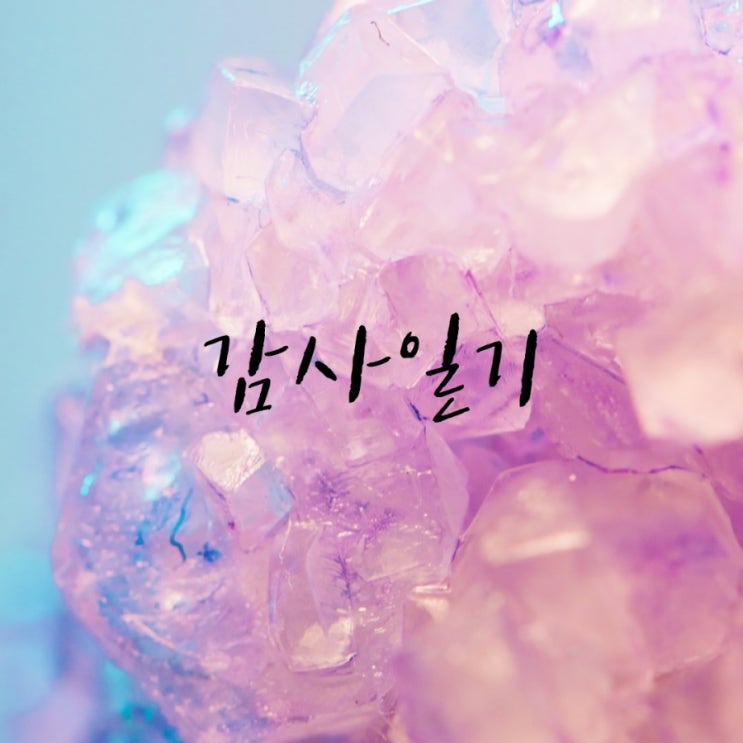  목요일 감사일기
