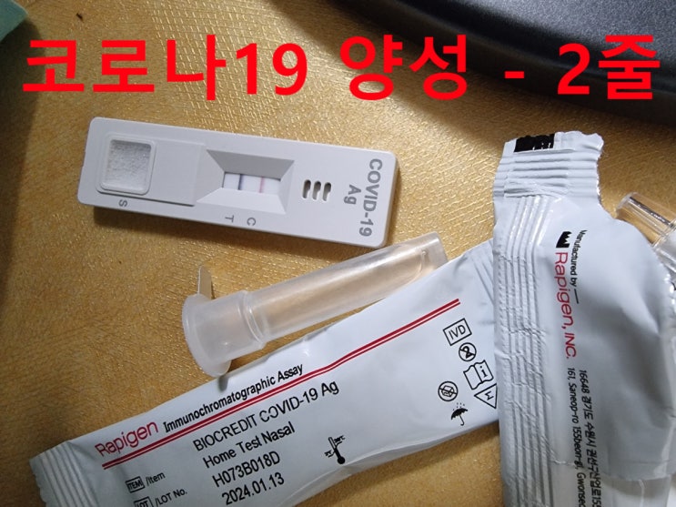  코로나19 자가진단키트 양성 pcr검사 확진 초기 1,2,3일차 증상