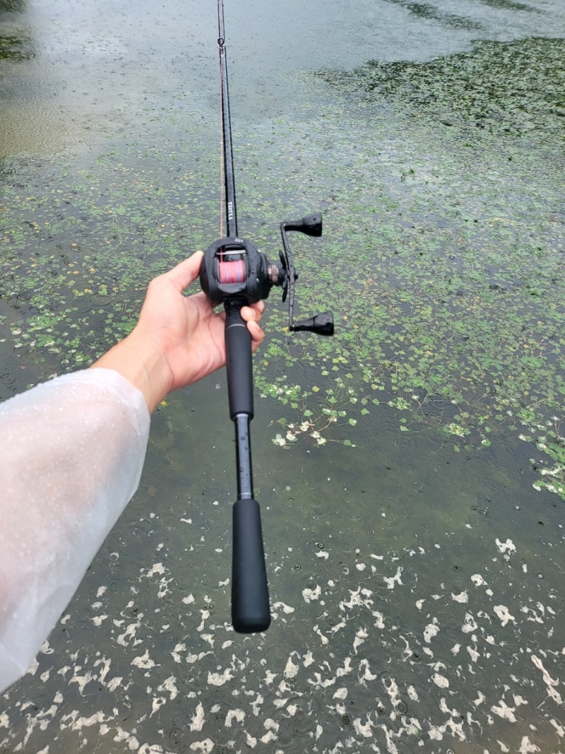 다이와 타튤라XT 로드 개봉이가 박두! : 네이버 블로그, image size:800x1067