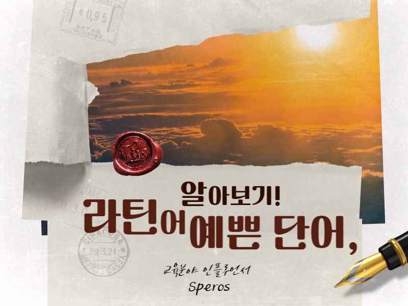 라틴어 예쁜 단어 가장 인기 있는 모음 집! : 네이버 블로그 라틴어 예쁜 단어 가장 인기 있는 모음 집! : 네이버 블로그