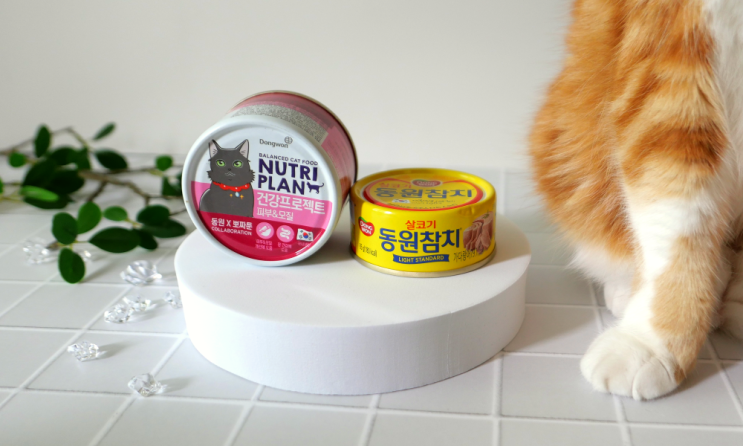  고양이 주식캔 성분과 가성비 좋았던 뉴트리플랜 참치캔 습식 사료