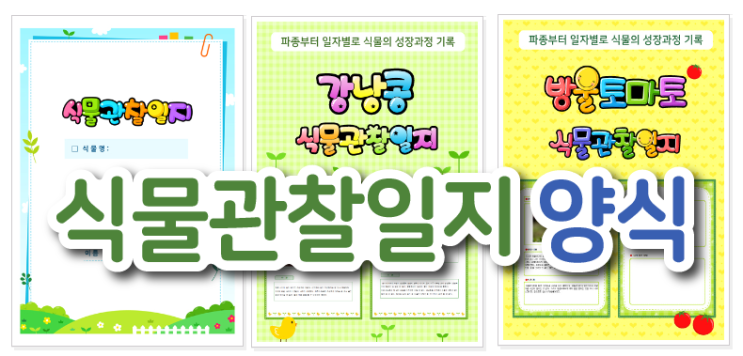 식물관찰일지 양식부터 작성방법까지 한 번에!