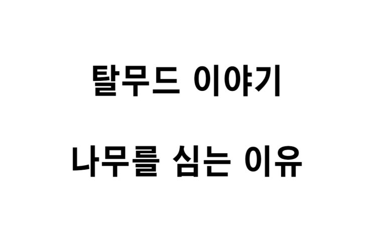  [탈무드 이야기] 나무를 심는 이유