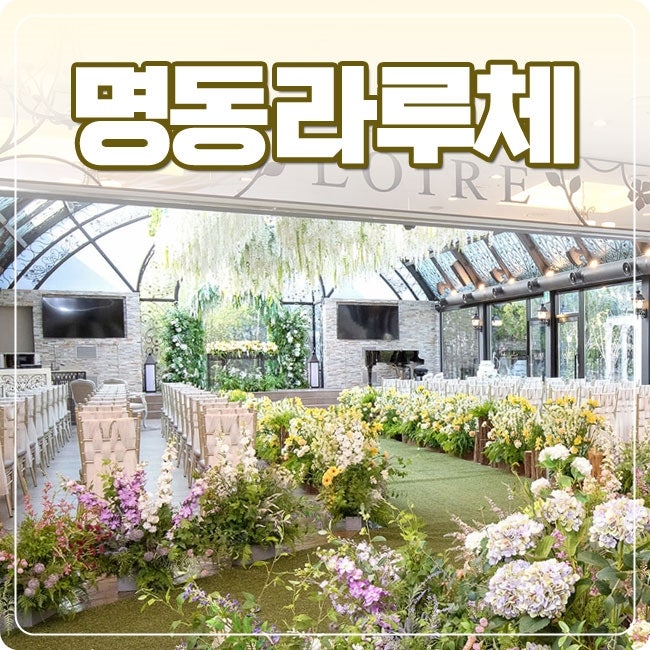 솔직후기] 