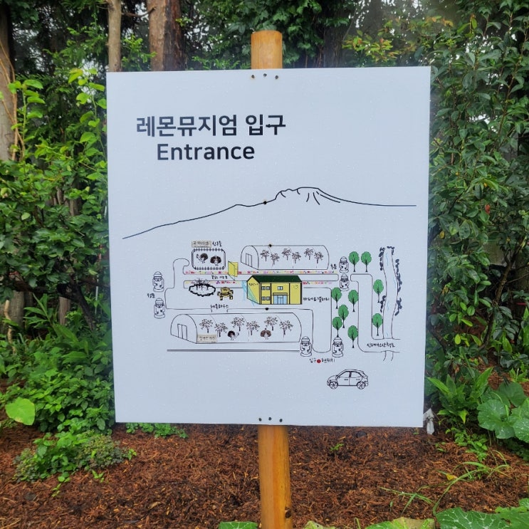  레몬뮤지엄