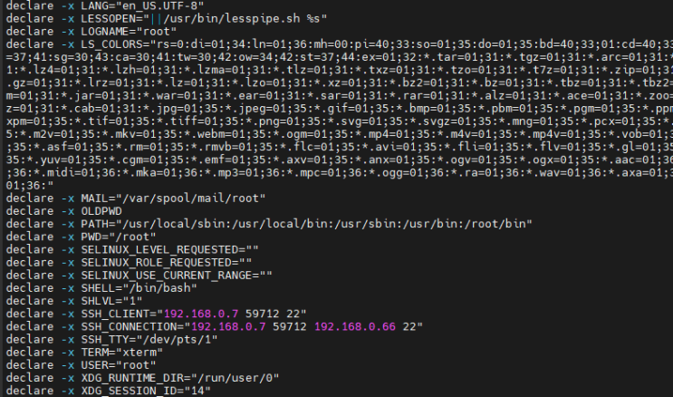  Linux :: 명령어, echo 와 export