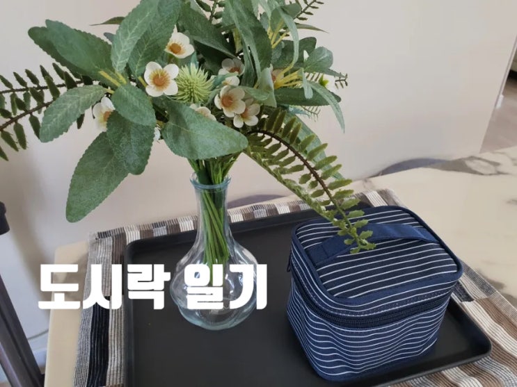  1인 가구 직장인 회사 점심 도시락 식단 일기(22/8/16~22/8/19)