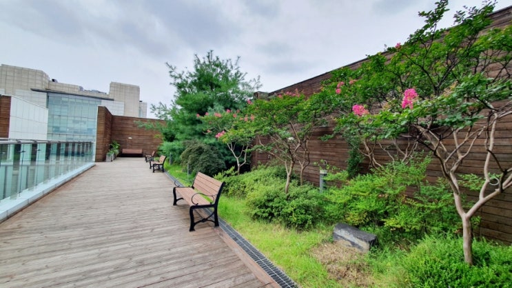  임신25주 임산부 햇빛병원 임당재검 (당 정밀검사) + 햇빛병원 하늘공원 야외테라스