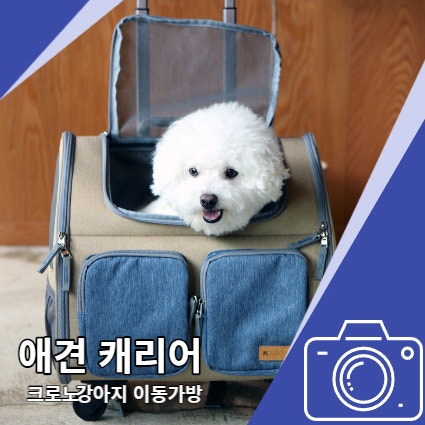 애견 캐리어 크로노 비숑 강아지 이동가방 좋아요 애견 캐리어 크로노 비숑 강아지 이동가방 좋아요