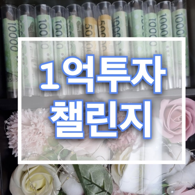  [1억투자챌린지]나에게 1억이 생긴다면 어떻게 투자를 할까??From ‘순무’ to ‘탄’