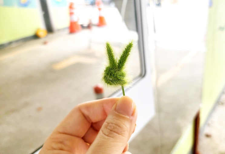  [이번 주 하루는...]....