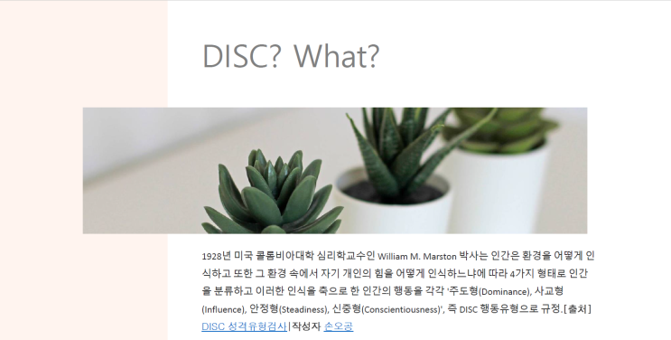  나 자신을 알라!?(행동유형검사/강점검사)