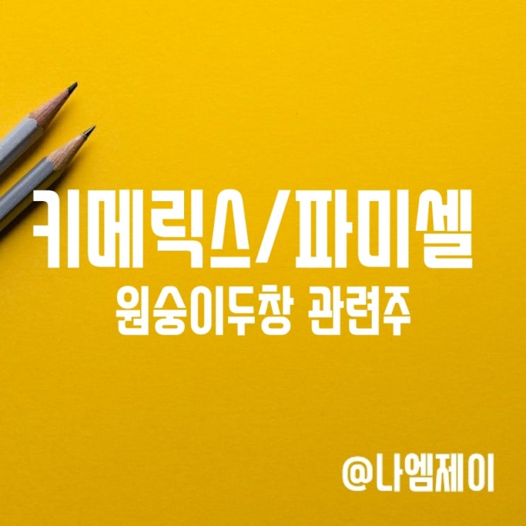 원숭이두창 천연두 관련주 키메릭스(CMRX) 및 파미셀 주가 (템벡사 치료제) 원숭이두창 천연두 관련주 키메릭스(CMRX) 및 파미셀 주가 (템벡사 치료제)