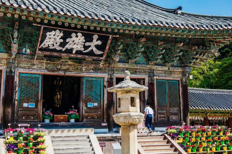 경주 가볼만한곳 불국사 석가탑 다보탑 역사여행 경주 가볼만한곳 불국사 석가탑 다보탑 역사여행