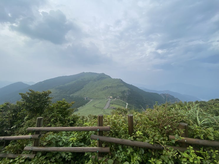  취미등산 영남알프스 배내봉~간월산~신불산~영축산~휴양림 코스