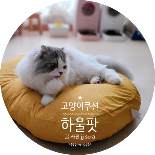  냥이들이 좋아하는 마약 방석 하울팟 강아지 고양이 쿠션 추천해요