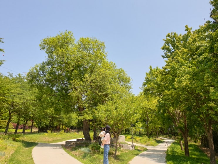  아기와 산책하기좋은 인천대공원 수목원