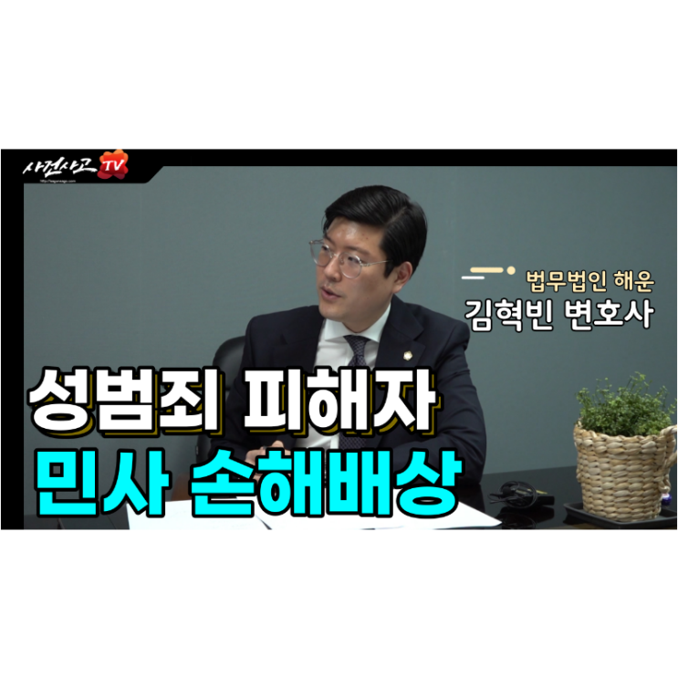  성범죄피해자 민사 손해배상 김혁빈 변호사 네이버TV(NOW)